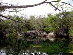 That picture was taken in cenote ponde rosa before the cr... by Philippe Duval 